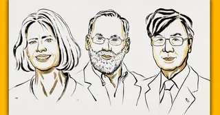 চিকিৎসাবিদ্যায় যৌথভাবে নোবেল পেলেন ৩ বিজ্ঞানী